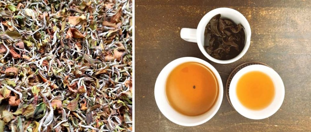 Foglie di Orange Tea