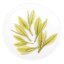 Zhejiang Anji Green Tea | An Ji Bai Cha - Option: 1 kg