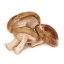 MycoMedica ORGANIC Shiitake PRO - 90 capsules