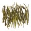 Furry Tips from the Yellow Mountains Scented with Pearl Orchid Blossoms | Zhu Lan Huang Shan Mao Feng - Option: 1 kg