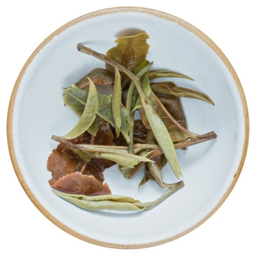2025 Yunnan Old Tree White Peony - Early harvest | Ming Qian Bai Mu Dan Lao Bai Cha - Option: 500 g