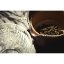 Taiwanský Mei Shan Jin Xuan Oolong - Varianta: 50 g