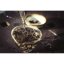 Taiwanský Hong Shui Oolong | Hong Shui Wu Long - Varianta: 500 g
