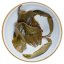 2023 Pu'er verde da alberi antichi di Xigui | Xi Gui Gu Shu Sheng Pu Er - torta pressata 200 g - Variante: Campione 15 g