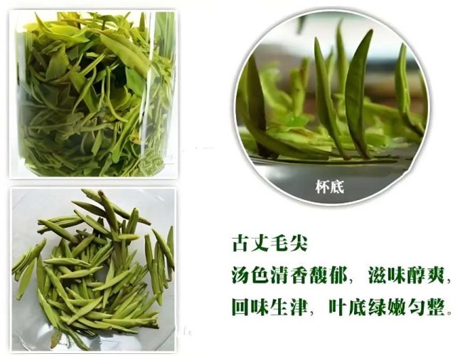 Guzhang Downy Tips | Gu Zhang Mao Jian - Option: Sample 15 g