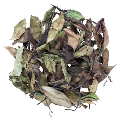 Snow in Etseri – Georgian White Tea - Option: 1 kg
