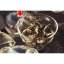 2015 Bílý narcis | Shui Xian Bai - Varianta: 500 g