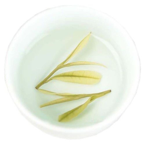 Zhejiang Anji Green Tea | An Ji Bai Cha - Option: 1 kg