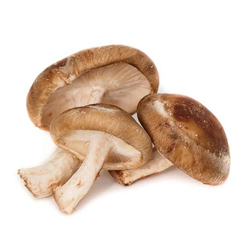 MycoMedica ORGANIC Shiitake PRO - 90 capsules