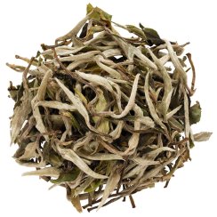Peonia bianca di Fuding | Bai Mu Dan