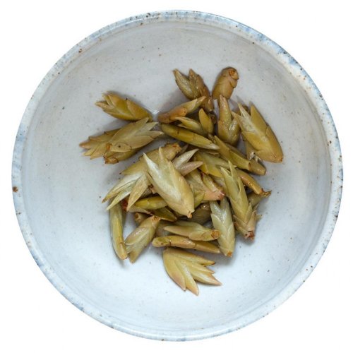 Na slunci sušené pupeny čaje Puer ze starých stromů | Pu Er Bai Ya Bao - Varianta: 50 g