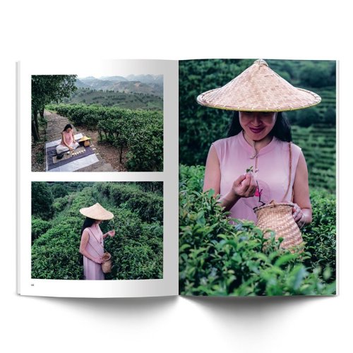 eighty°- the culture of tea 1