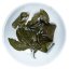 Oolong vulcanico di Guangxi | Bai Se Huo Shan Wu Long - Variante: Campione 15 g