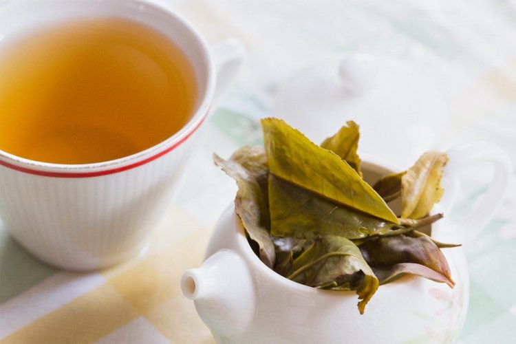 Darjeeling Upper Fagu Spring Wonder FTGFOP1 FF EX-01 - Varianta: 1 kg