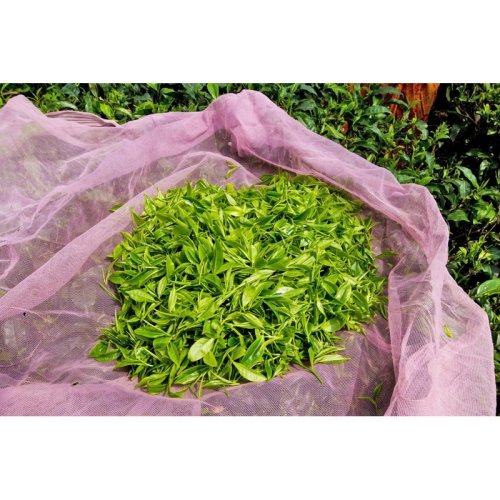 Black Fusion z Doke - Varianta: 1 kg