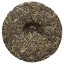 2021 Matai Ancient Tree Sheng Pu-erh | Ma Tai Sheng Pu Er - Cake 200 g - Option: 50 g