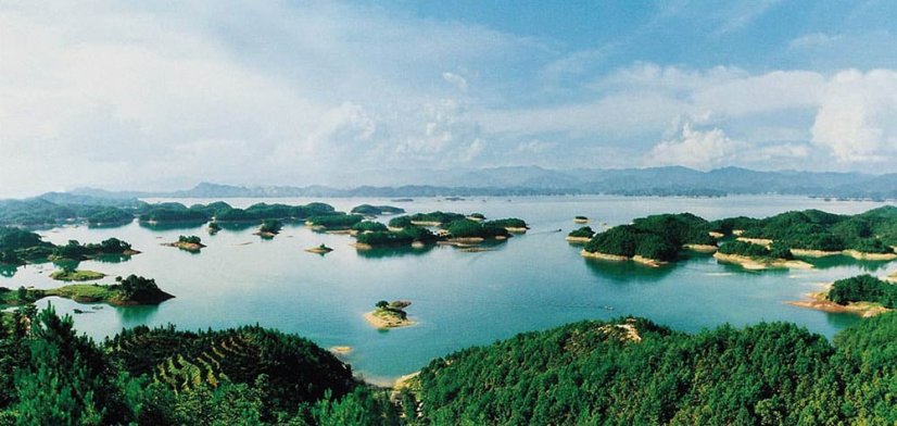 Gunpowder del Lago delle Mille Isole | Qian Dao Hu Zhu Cha - Variante: 500 g