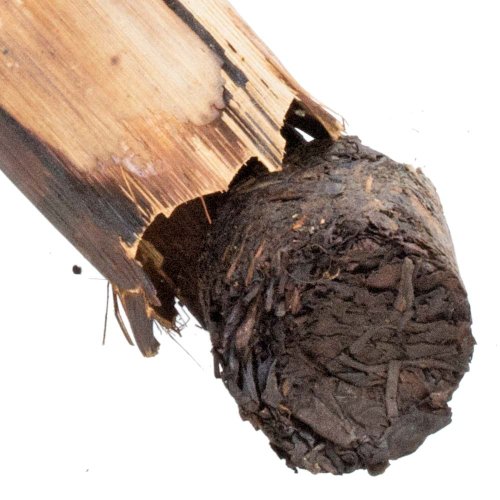2010 Tè nero Assam in bambù Singpho Phalap - Variante: Bambù ~250 g