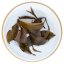 Meghalayi Lakyrsiew Orthodox Oolong AV2 - Varianta: 50 g