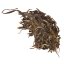 2023 Pu'er verde da alberi antichi di Bingdao | Bing Dao Sheng Pu Er - torta pressata 200 g - Variante: 1 kg