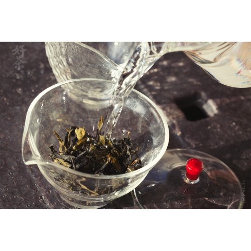 Taiwanské Zelené srdce | Chin Xin Gan Zhi Lu Cha - Varianta: 1 kg