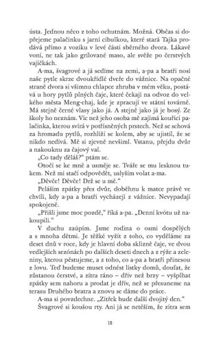 Čajová dívka z Kolibříkové ulice | Lisa See