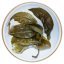 2023 Pu'er verde da alberi antichi di Matai | Ma Tai Gu Shu Sheng Pu Er - torta pressata 200 g - Variante: Torta pressata 200 g