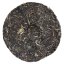 2024 Pu'er verde da alberi antichi di Bingdao | Bing Dao Jintai Sheng Puer - torta pressata 357 g - Variante: 50 g