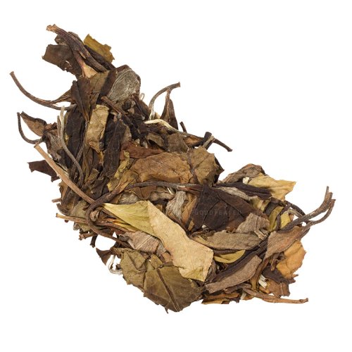 2020 Yunnan Old Tree White Dew | Gu Shu Bai Lu - cake 200 g - Option: Sample 15 g