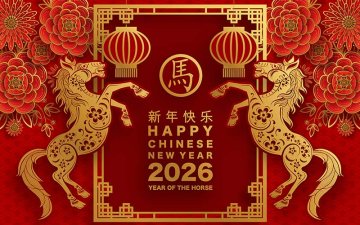 Flame on the Back of the Wind: The Story of the Year of the Fire Horse (bing-wu 丙午)