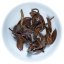 2022 Moonlight White Tea from Old Tea Trees – Cake 200 g | Yue Guang Bai - Option: Sample 15 g