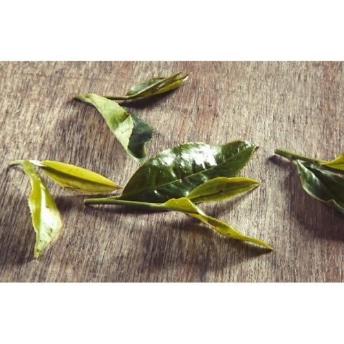 Autumn Black Nepal Chabbesey Moonlight - Option: Sample 15 g