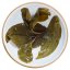 2024 Zelený Puer ze starých stromů v Bingdao | Bing Dao Jintai Sheng Puer - koláč 357 g - Varianta: 50 g