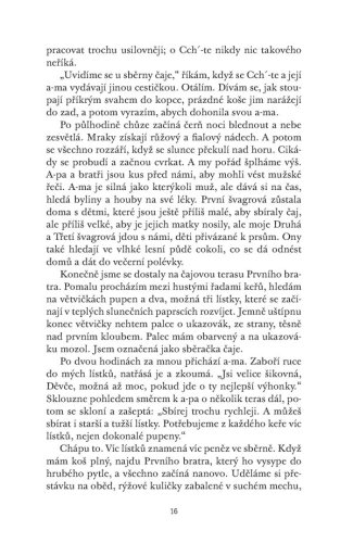 Čajová dívka z Kolibříkové ulice | Lisa See