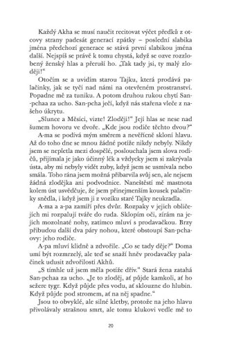 Čajová dívka z Kolibříkové ulice | Lisa See