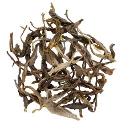 2023 Zelený Puer ze starých stromů v Matai | Ma Tai Gu Shu Sheng Pu Er - Mao Cha