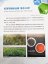 Taiwan Qi Yun Black Tea  | Qi Yun Hong Cha - Option: 1 kg