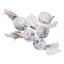 2021 Taimushan Dragon Ball | Fuding Taimu Shan Lao Bai Cha - Option: 10 pcs