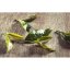 Autumn Black Nepal Chabbesey Moonlight - Option: Sample 15 g