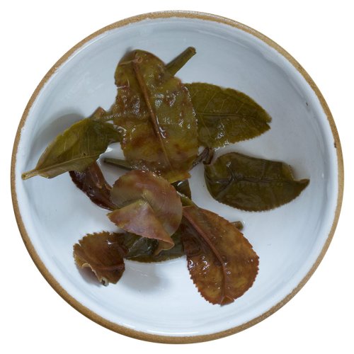 Nepal Ekta Golden Emperor Green First Flush - Option: Sample 15 g
