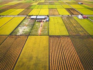 Understanding the Chinese Unit “Mu 亩”