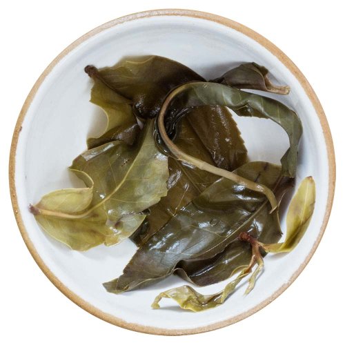 2024 Zelený Puer ze starých stromů v Daxueshan | Da Xue Shan Gu Shu Sheng Cha - koláč 200 g - Varianta: 50 g