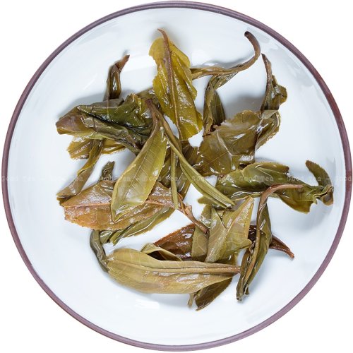2011 Zelený Ying Kee Puer ze starých stromů v Daxueshan | Da Xue Shan Ying Kee Qing Sheng Cha - koláč 200 g - Varianta: 50 g