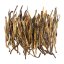Yunnan Golden Needles | Dian Hong Jin Zhen - Option: 50 g