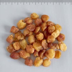LONG YAN ROU - Euphoria longan 120 g