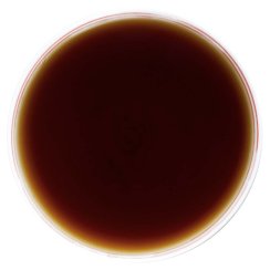 Assam Nero Ortodosso