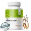 MycoMedica ORGANIC Cordyceps PRO - 90 capsules