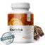 MycoMedica ORGANIC Coriolus PRO - 90 capsules