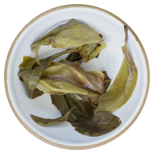 2022 Pu'er verde da alberi antichi di Matai | Ma Tai Gu Shu Sheng Pu Er - torta pressata 200 g - Variante: 50 g