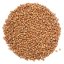 Dark Dragon Eyes - Daliangshan Buckwheat Tea | Long Zhu Hei Ku Qiao Cha - Option: 50 g